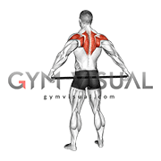 Stick Shoulder Mobilization in Abduction Behind Back (male)