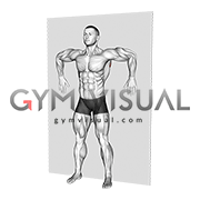 Standing Wall Shoulder Rotation (male)