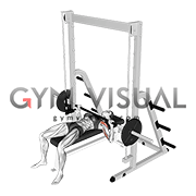 Smith Bench Press (female)