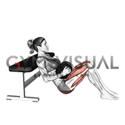 Dumbbell Hip Thrust (VERSION 2) (female)