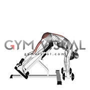 Dumbbell Hyperextension (VERSION 2) (female)