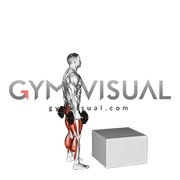 Dumbbell Jump Box (male)