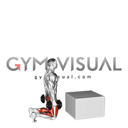 Dumbbell Kneeling to Jump Box (male)