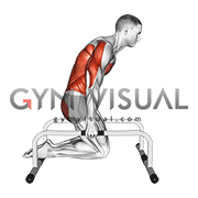 Tuck Planche on Parallette (male)