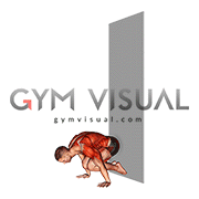 Wall Assisted Handstand to Tuck Planche Negative (male)