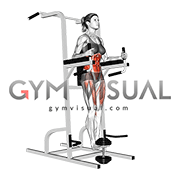 Weighted Captains Chair Leg Raise (female)
