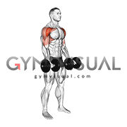 Dumbbell Underhand Front Raise