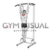Scapular Pull-Up (VERSION 2)