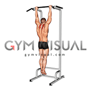 Scapular Pull-Up (VERSION 2)