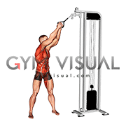 Cable twist (up down)