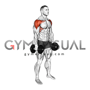 Dumbbell Standing Front and Lateral Raise