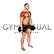 Dumbbell Standing Front and Lateral Raise
