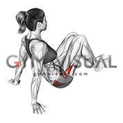 Seated Bent Knee Abduction Feet Floor Off (female)