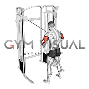 Cable Standing High Cross Neutral grip Triceps Extension