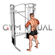 Cable Standing High Cross Neutral grip Triceps Extension