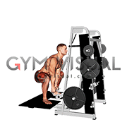 Lever Belt Sumo Deadlift (V bar) (male)