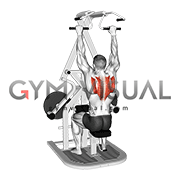 Lever Seated Scapular Retraction (plate loaded)