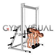 Dumbbell Hip Supported Romanian Deadlift (male)