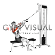Cable Face Pull with External Rotation (male)
