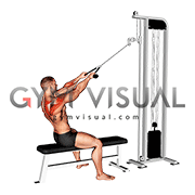 Cable Face Pull with External Rotation (male)