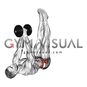 Dumbbell Over the Chest Lying Abduction (male)