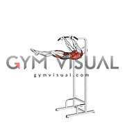 Negative Front Lever Raise (male)