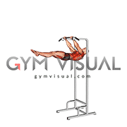 Negative Front Lever Raise (male)