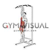 Single Arm Hanging Toes to Bar