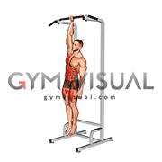 Single Arm Hanging Toes to Bar