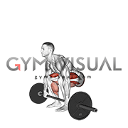 Barbell 2 3 Deadlift
