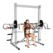 Smith Seated Shoulder Press (female)