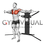 Cable Standing Fly (VERSION 3)