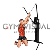 Cable Kneeling Woodchop (VERSION 3)