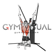 Cable Kneeling Pulldown (VERSION 3)