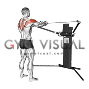 Cable Standing Reverse Fly (VERSION 3)