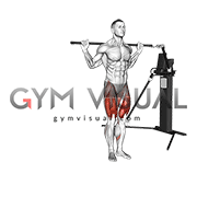 Cable Lateral Lunge (VERSION 3)