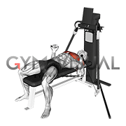 Cable Bench Press (VERSION 3)