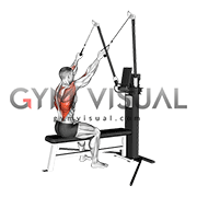 Cable Seated High Row (VERSION 3)