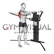 Cable Standing Push Pull (VERSION 3) gif