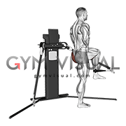 Cable Standing Hip Extension (VERSION 3)