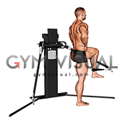 Cable Standing Hip Extension (VERSION 3)