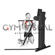 Cable Kneeling Military Press (VERSION 3) gif