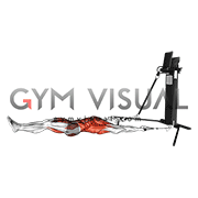 Cable Lying Alternating Bent Leg Jackknife (VERSION 3)