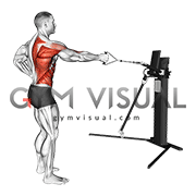 Cable Single Arm Row with Rotation (VERSION 3)