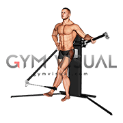 Cable Standing Hip Abduction (VERSION 3)