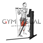 Cable Squat (VERSION 3)