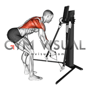 Cable Bent Over Single Arm Row (VERSION 3)