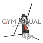 Cable Kneeling Crunch (VERSION 3)