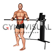 Cable Standing Torso Twist (VERSION 3)