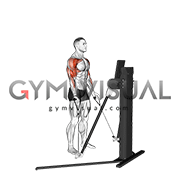 Cable Standing Biceps Curl to Arnold Press (VERSION 3) gif